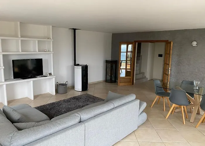 Spacieuse Nicoise Au Calme Avec Piscine