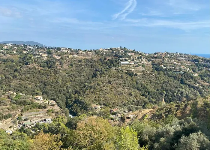Spacieuse Nicoise Au Calme Avec Piscine *
