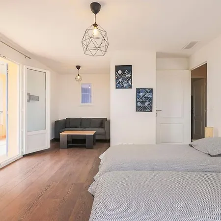 Spacieuse Nicoise Au Calme Avec Piscine 尼斯